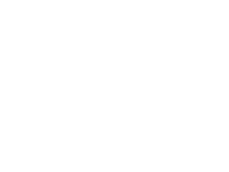 logo_dokfest_41_online_weiss