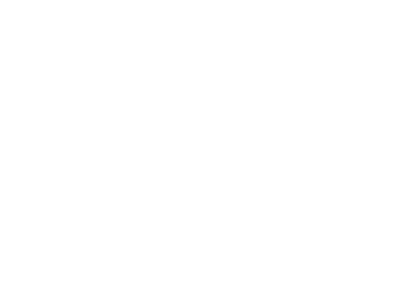 Profi Aesthetics Logo